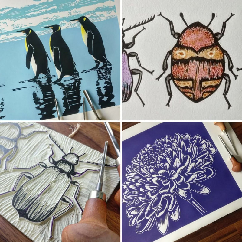 Tara Slater, printmaker, penguins, beetles, flower